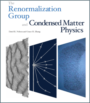 The Renormalization Group and Condensed Matter Physics