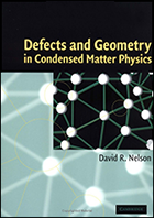 Book cover: Defects and Geometry